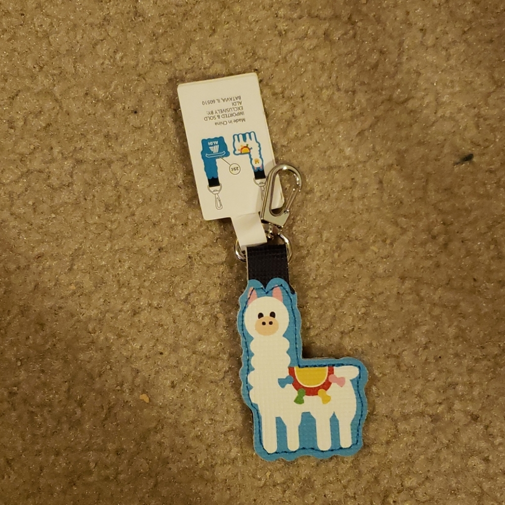 Aldi Keychain Coin Holder